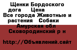 Щенки Бордоского дога.  › Цена ­ 30 000 - Все города Животные и растения » Собаки   . Амурская обл.,Сковородинский р-н